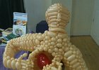 IMG 0037  Balloon model