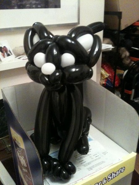 386156_291725660875600_337743500_n