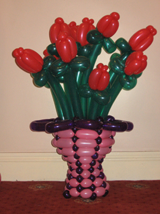 balloon flowers